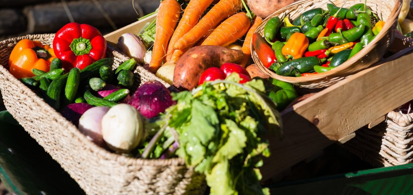 Easiest Crops to Grow from Seed – Mother Earth News - Vimarsana News
